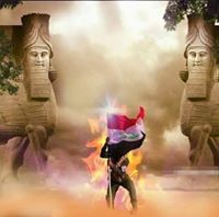 زهرة التيوليب