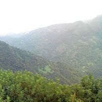 Pravin Kc