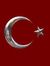 Aysun G...