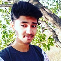 Raj Rajput