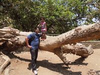Shivram