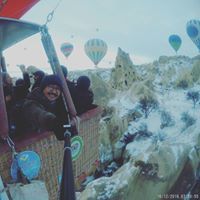 Halip Wayfarer