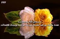 فيصل الغامدي