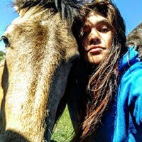 fernanda lucia isabel alvarez palma