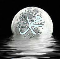 محمد حبايبه