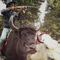 Mohit Chandel