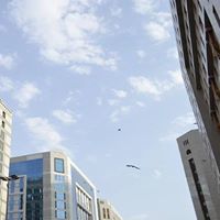 سارة عبدالله