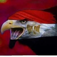 Ahmed Reda