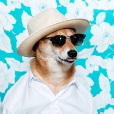 Christopher Frankland