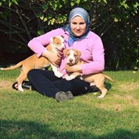 Nadeen Assem