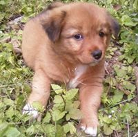 Nguyễn Minh Nguyệt