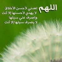 Mohamed Helal