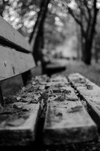 Велислава Суйч