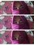 Septiay...