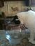 Diane S...