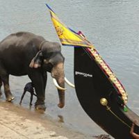 Vishnu Jayan