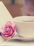 Rihab T...