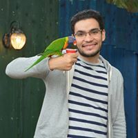 Mohamed Shoieb