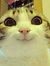 Shahrul...