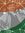 Anand J...