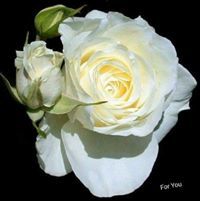 قدرات تحصيلي