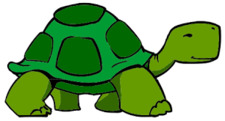 TurtleZ