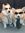 Corgies...