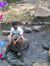 Satya P...