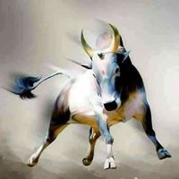 பாலாஜி சுந்தரம்