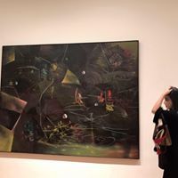Xihan Wang