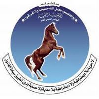 الميثاق موبايل