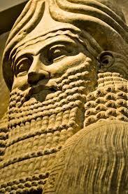 امجد عبدالامام