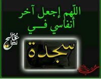 بلسم المشتاقة