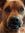 Tina Baker | 5 comments