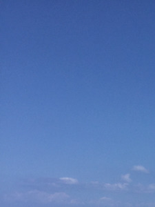 Georgette R. rizqallah