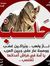 ياسمين ...