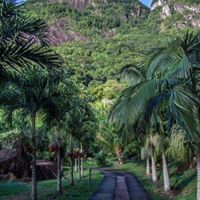 عبدالله الهاشمي