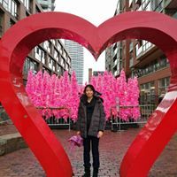 Cindy Wang