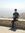 Usman N...