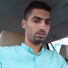 عامر المصري