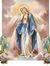 Mercy Majo