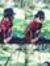 Jatin B...