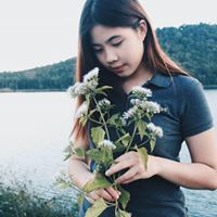 เฟริส เฟริส