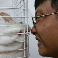 Wang Qiang