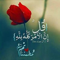Ahmed Aboubakr