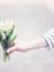 Basma T...
