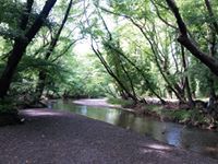 Νικος Πολιτης