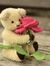Rabia S...
