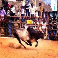 Muthu Muthu
