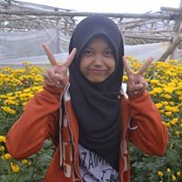 Arina T U
